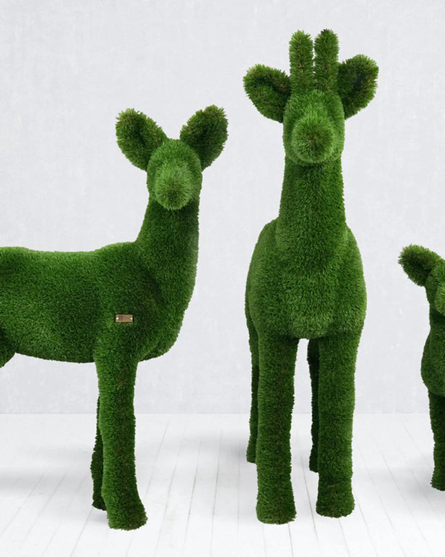 Silvara — Female Roe Deer
