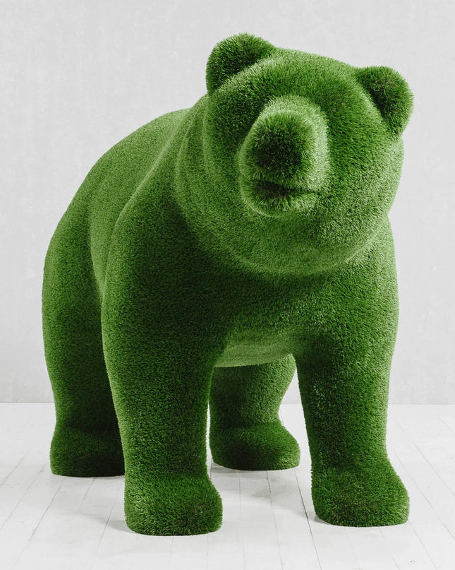 Solara — Bear