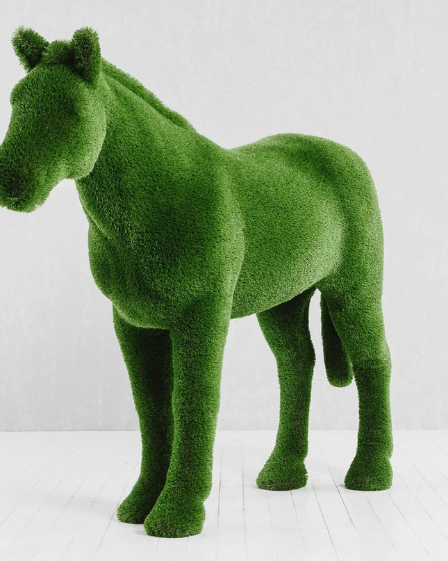 Caelis — Stallion Horse