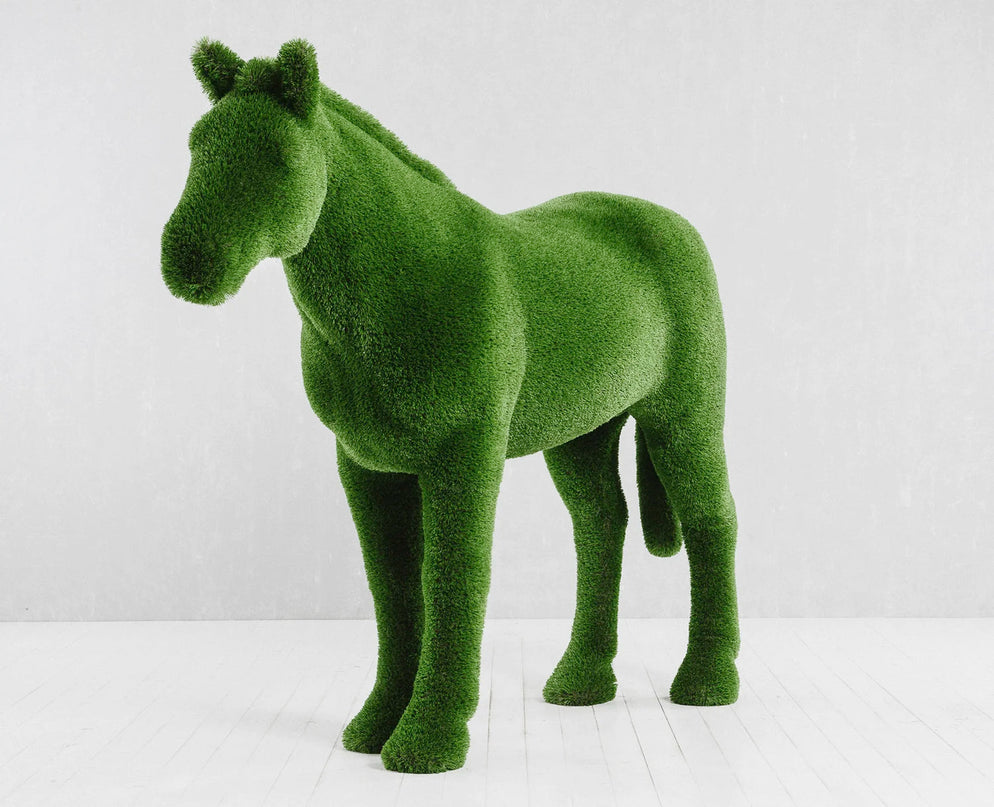 Caelis — Stallion Horse