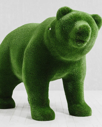 Solara — Bear