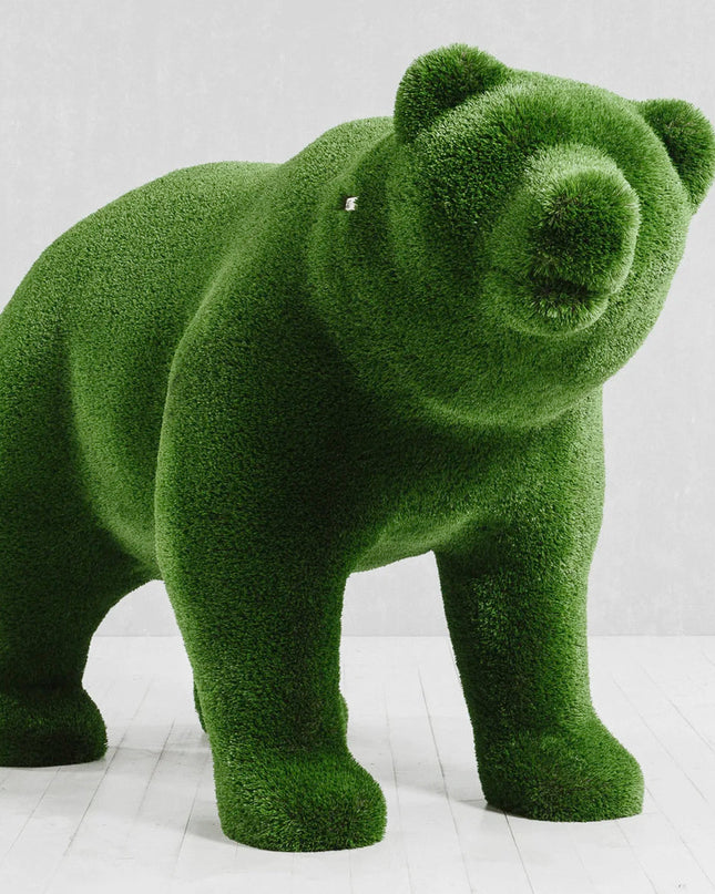 Solara — Bear