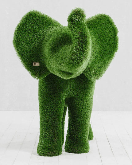 Lyra — Elephant Calf