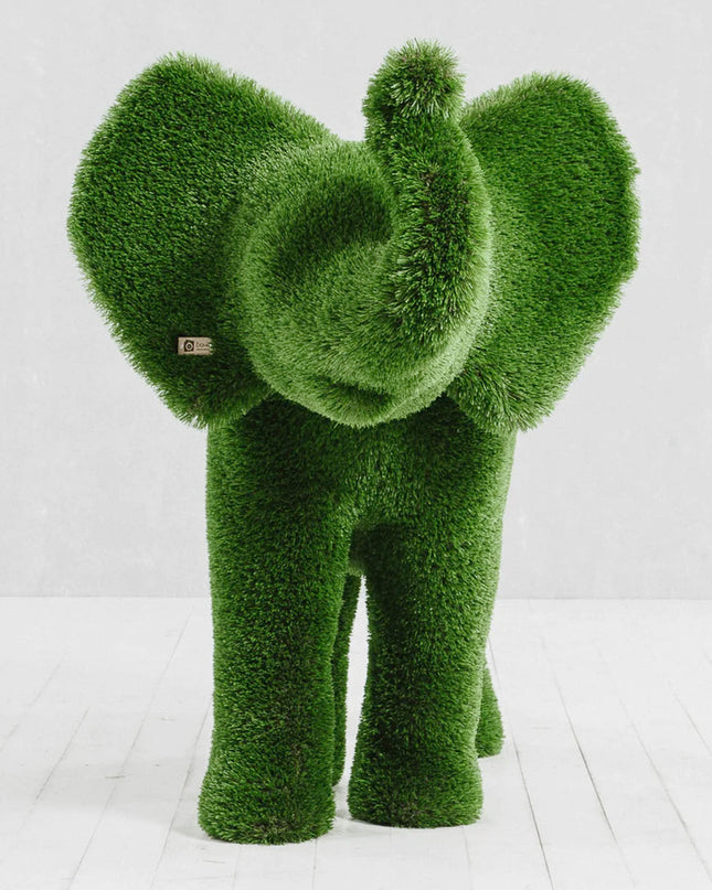 Lyra — Elephant Calf