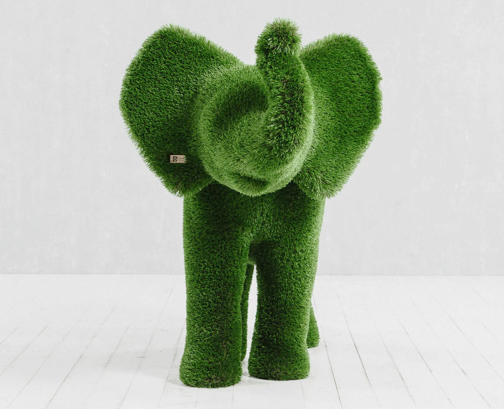Lyra — Elephant Calf