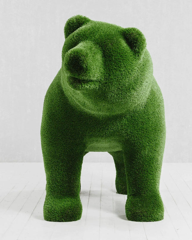 Solara — Bear