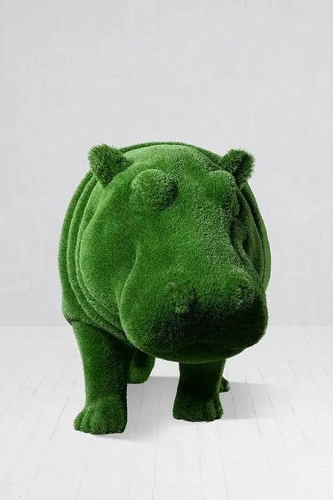 Raya — Young Hippo
