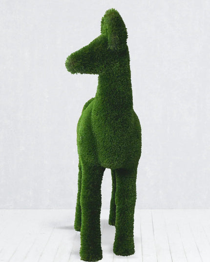 Silvara — Female Roe Deer