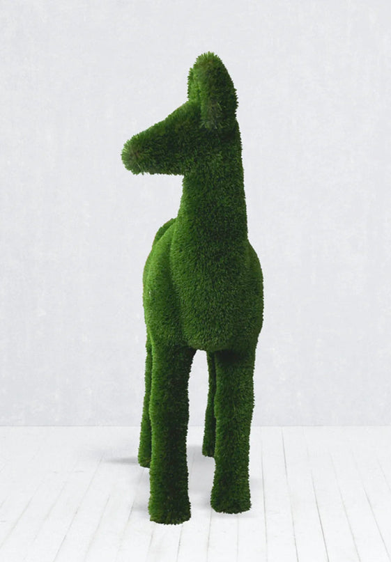 Silvara — Female Roe Deer