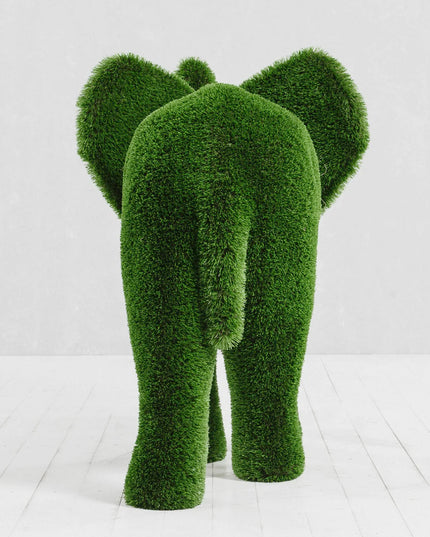 Lyra — Elephant Calf