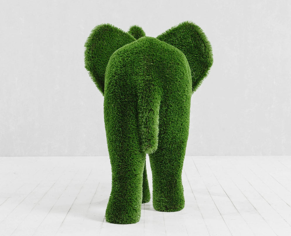 Lyra — Elephant Calf