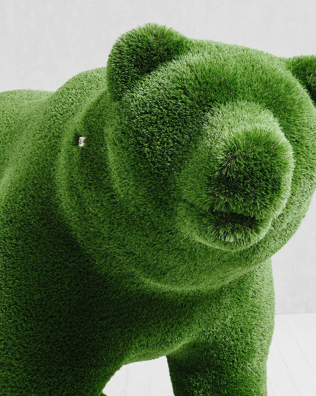 Solara — Bear