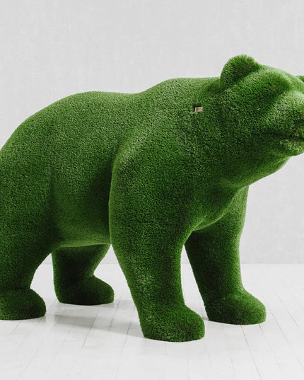 Elion — Bear Cub