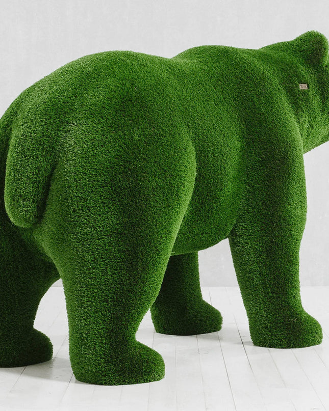 Solara — Bear