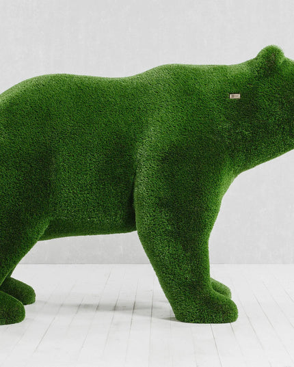Solara — Bear