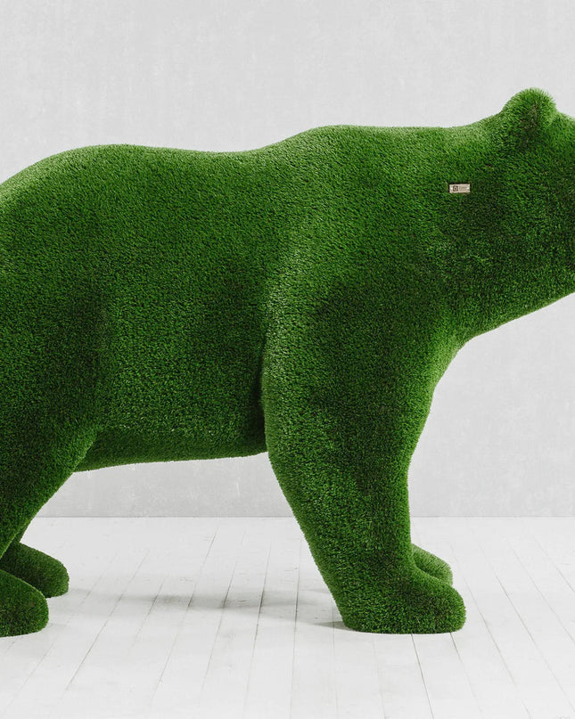 Solara — Bear