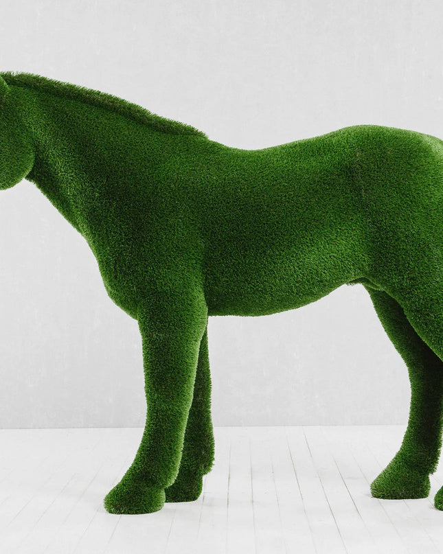 Caelis — Stallion Horse