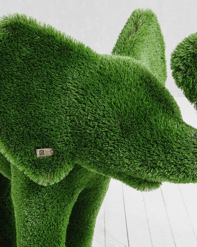 Lyra — Elephant Calf