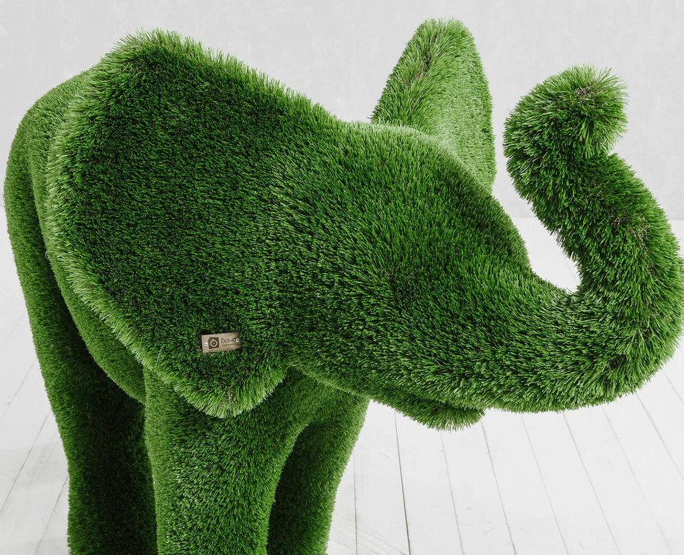 Lyra — Elephant Calf