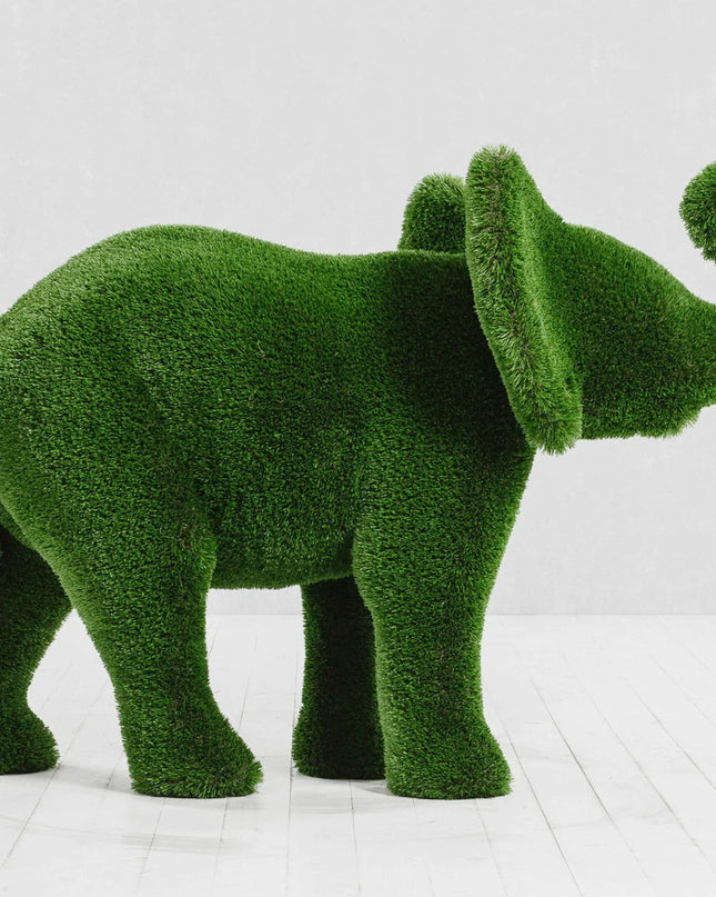 Lyra — Elephant Calf