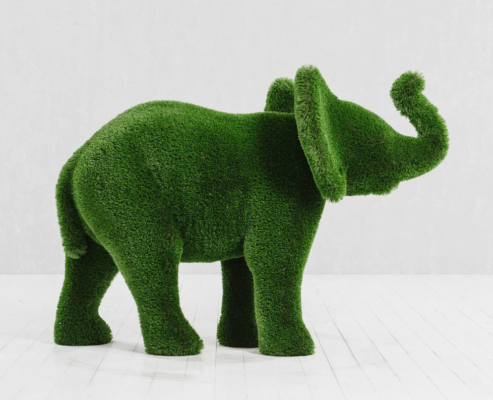 Lyra — Elephant Calf