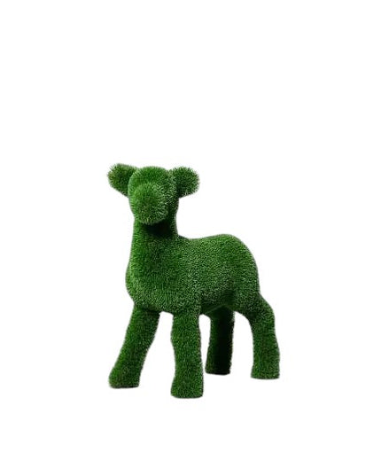 Liora — Lamb