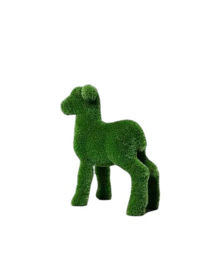 Liora — Lamb