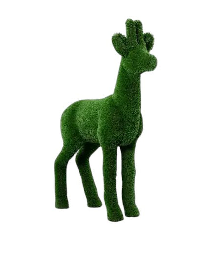 Alaric — Roe Buck