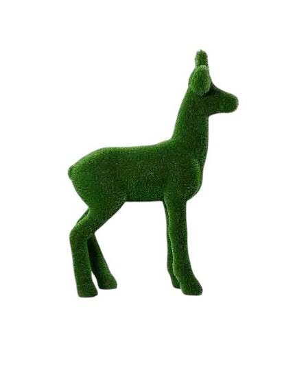 Alaric — Roe Buck
