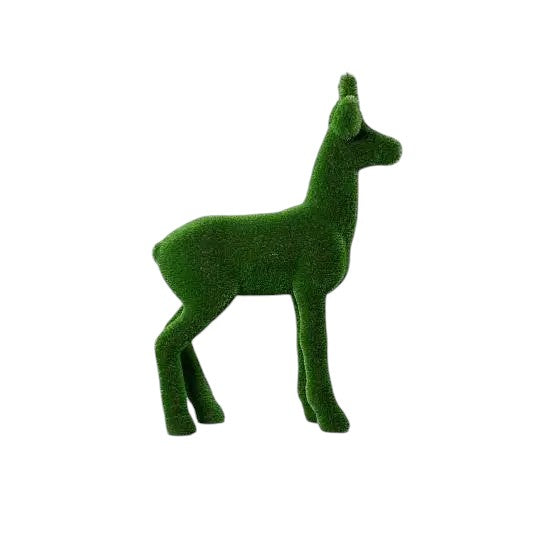 Alaric — Roe Buck