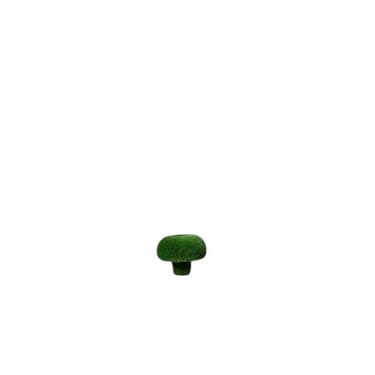 Russula – Mushroom Sculpture Set