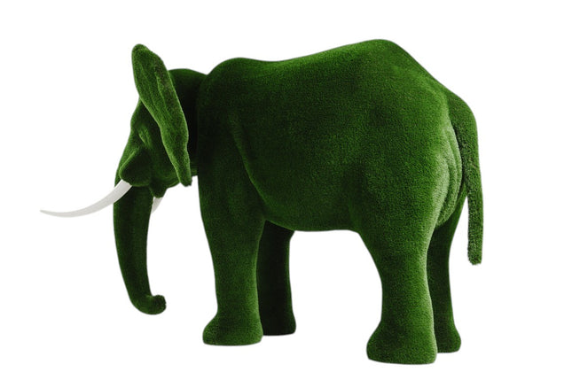 Majestic — Elephant