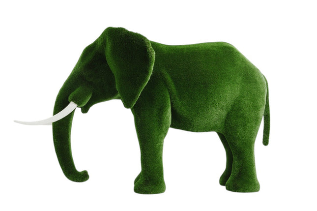 Majestic — Elephant