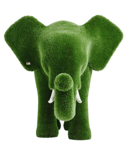 Zephiel — Young Elephant