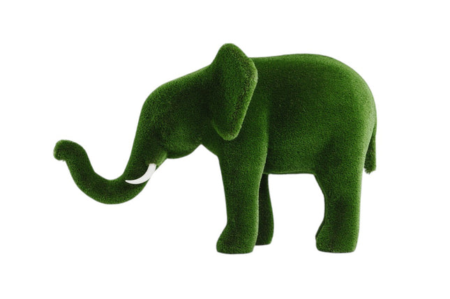 Zephiel — Young Elephant