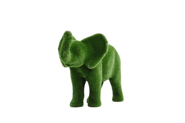 Lyra — Elephant Calf