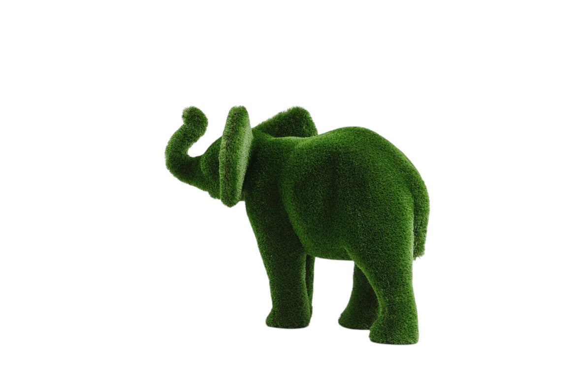 Lyra — Elephant Calf