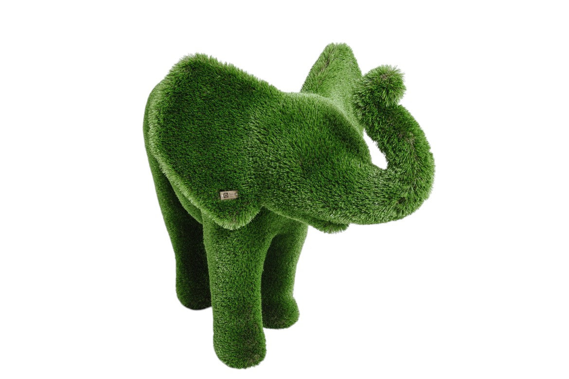 Lyra — Elephant Calf