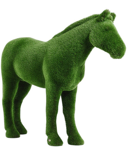 Caelis — Stallion Horse