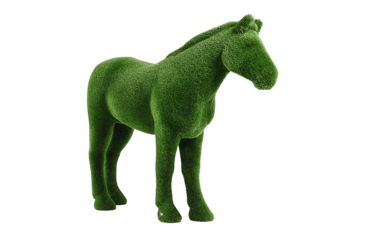 Caelis — Stallion Horse