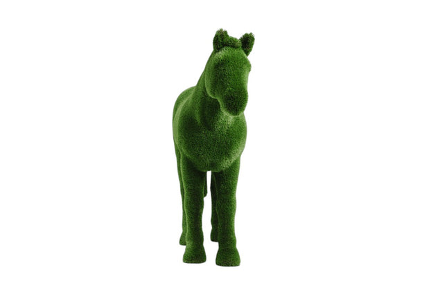 Caelis — Stallion Horse