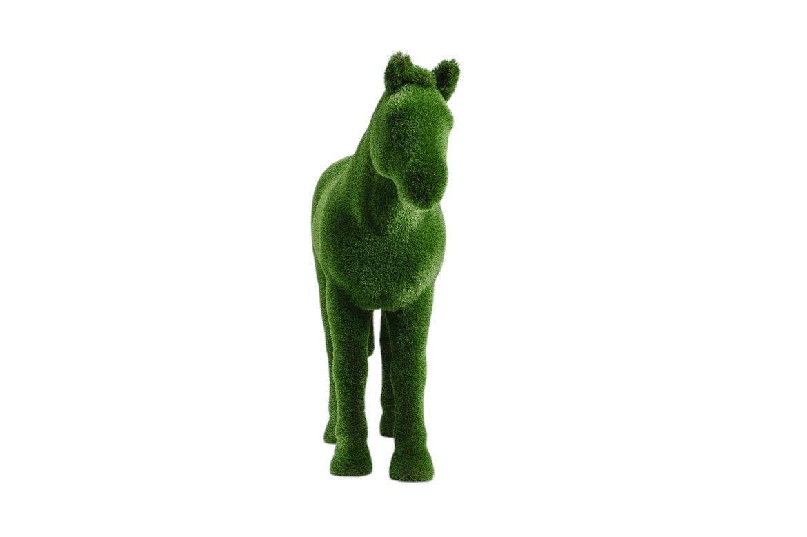 Caelis — Stallion Horse