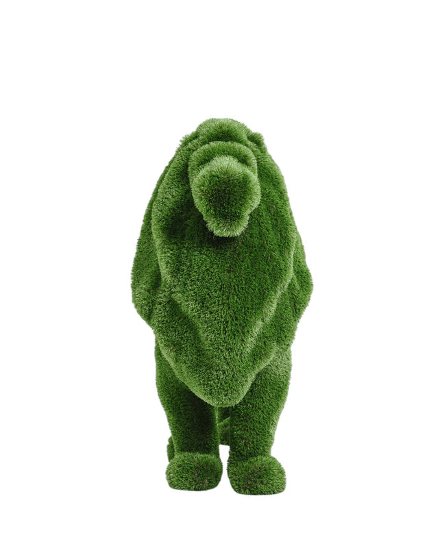 Aurelion – older standing lion animal topiary with broad mane in botanical texture from the Heritage Collection, designed for grand landscape settings.