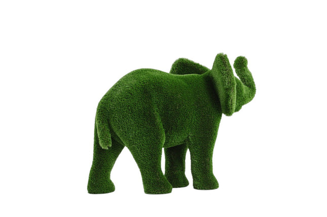 Zephiel — Young Elephant