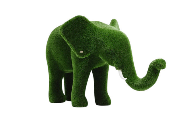 Zephiel — Young Elephant