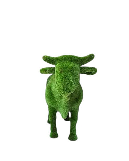Steadfast, a life-size Black Angus bull topiary sculpture in artificial grass, standing in a broad and grounded posture from the Heritage Collection.