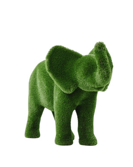Zephiel — Young Elephant
