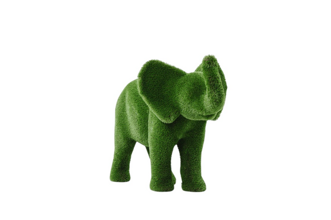 Zephiel — Young Elephant
